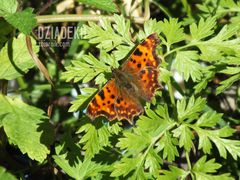 To już chyba ostatni w tym roku