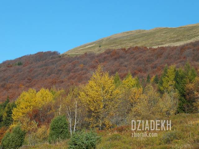 Jeszcze sporo drogi do przebycia - dziadekh