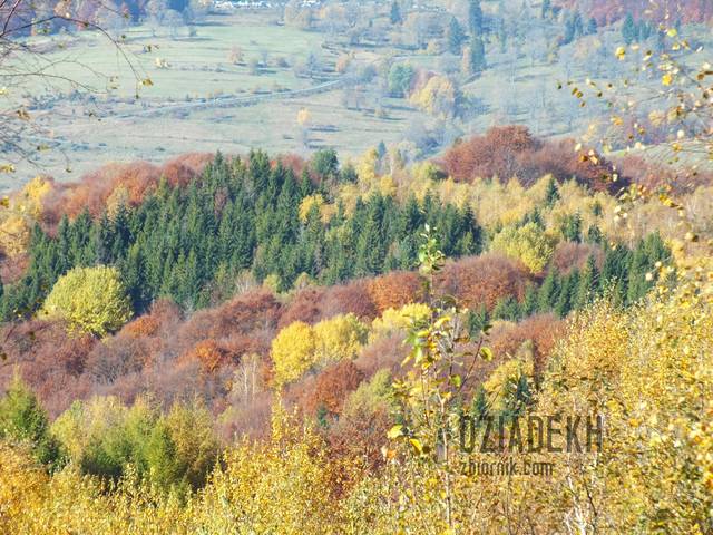 Kolorowe widoki z góry - dziadekh