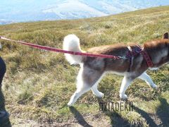 Tak szybko wciągał pana na szczyt, że uciekł mi z kadru