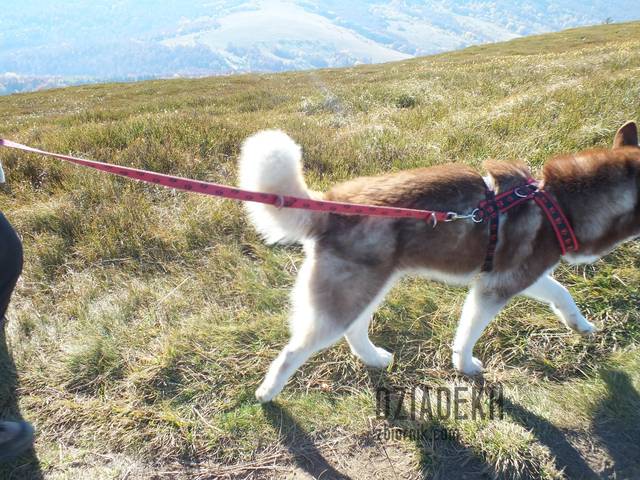 Tak szybko wciągał pana na szczyt, że uciekł mi z kadru - dziadekh
