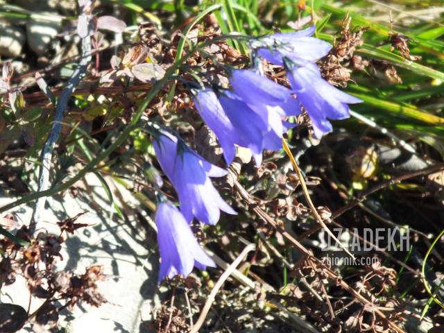 Niespodziewany widok - dziadekh