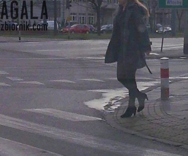 Zni073cz.jpg - AGALA