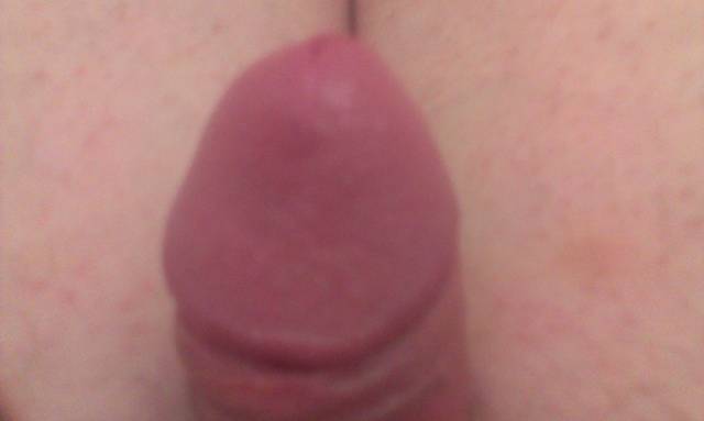 1352222539665.jpg - brodacz89