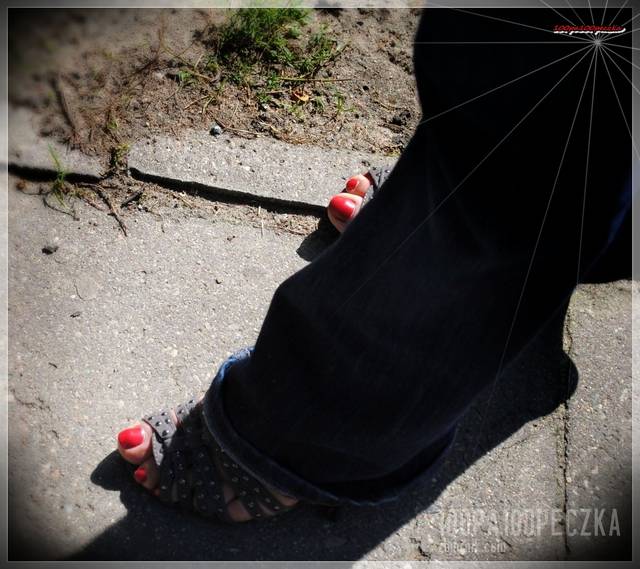 Szare 29 - 100pa100peczka