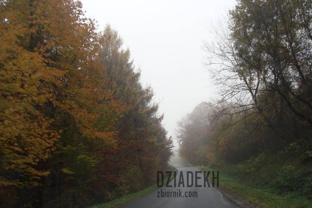 Pogoda raczej nie zachęca do spacerów. - dziadekh