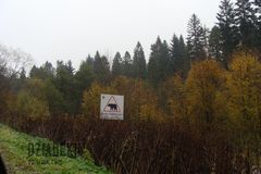 Takich tablic jest sporo w Bieszczadach