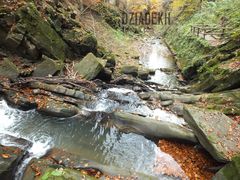 Wanna jakby stworzona do baraszkowania...