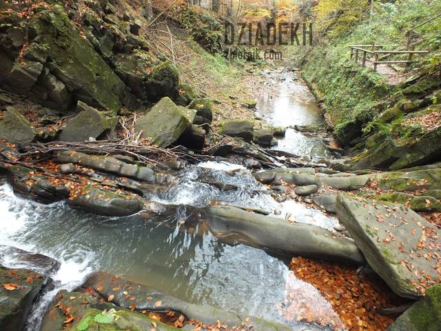 Wanna jakby stworzona do baraszkowania... - dziadekh