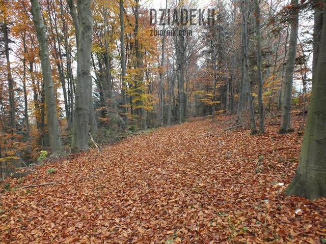 Z tej strony też - dziadekh