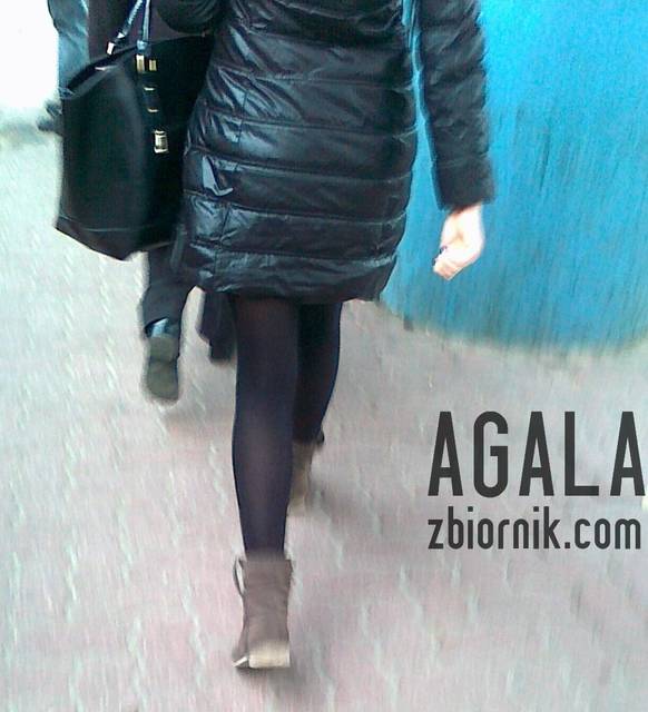 151120121737cz.jpg - AGALA