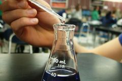 co to za niebieskie ?