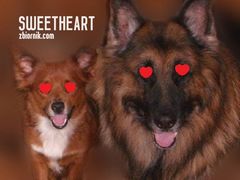 Mój zwierzyniec:)..