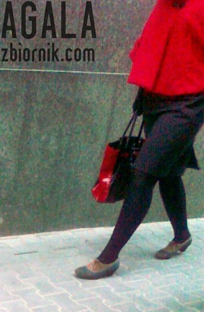 221120121865cz.jpg - AGALA
