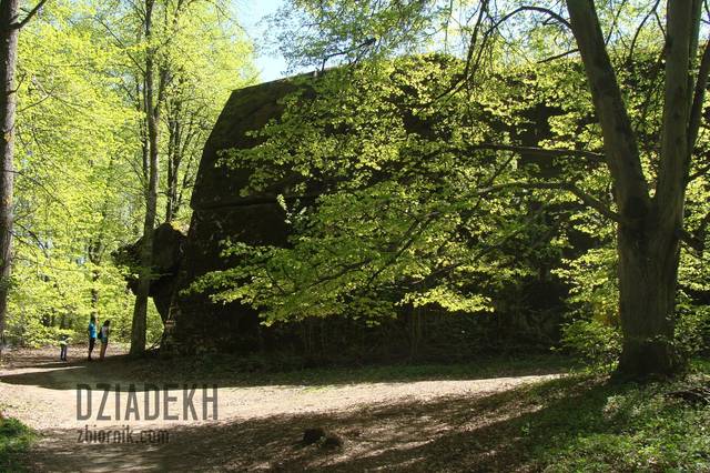 Bunkier w Gierłoży - dziadekh