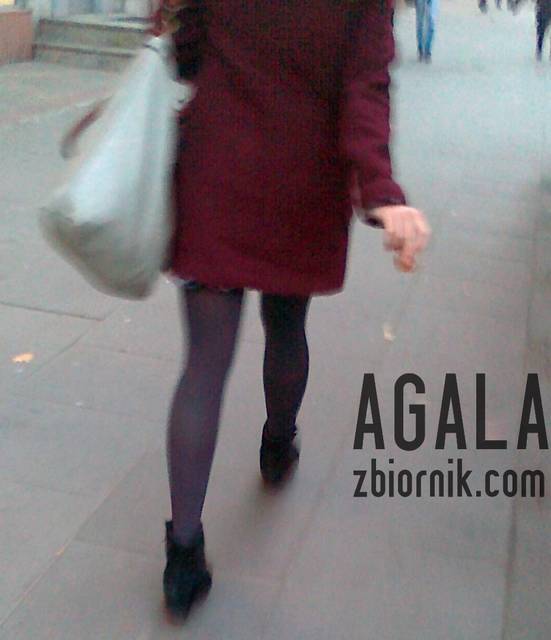 231120121975v.jpg - AGALA