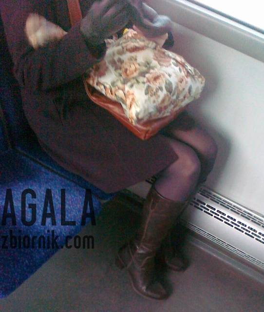 231120121960v.jpg - AGALA