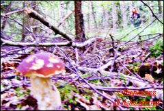 ...kiedyś cię znajdę...;)