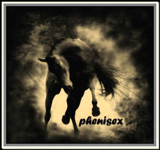 EASY & CRAZY - phenisex