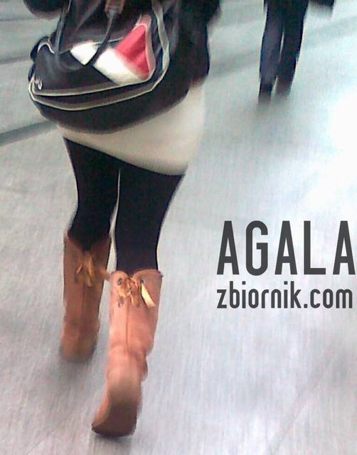 271120122042cz.jpg - AGALA