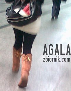 271120122042cz.jpg
