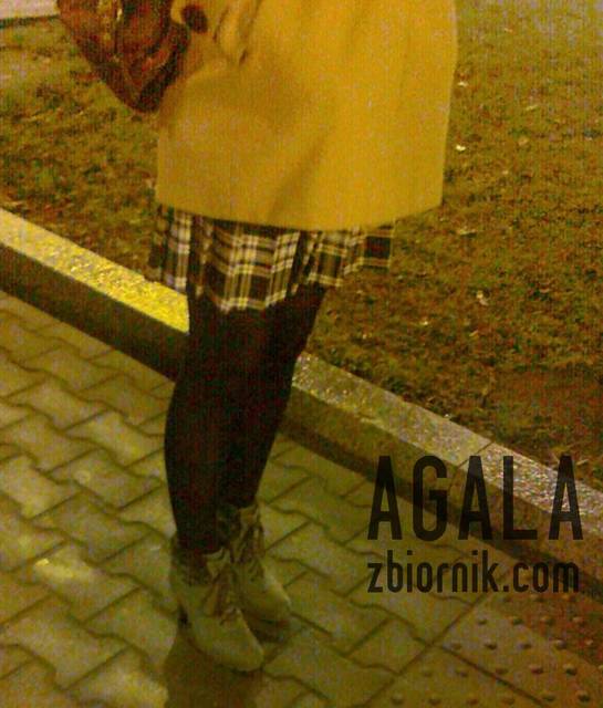 281120122093cz.jpg - AGALA