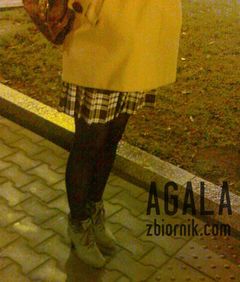 281120122093cz.jpg