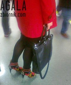 281120122087cz.jpg
