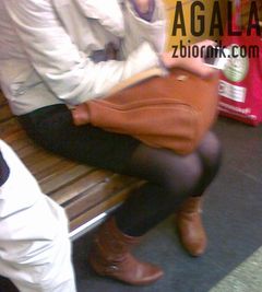 281120122083cz.jpg