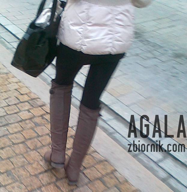 281120122057cz.jpg - AGALA