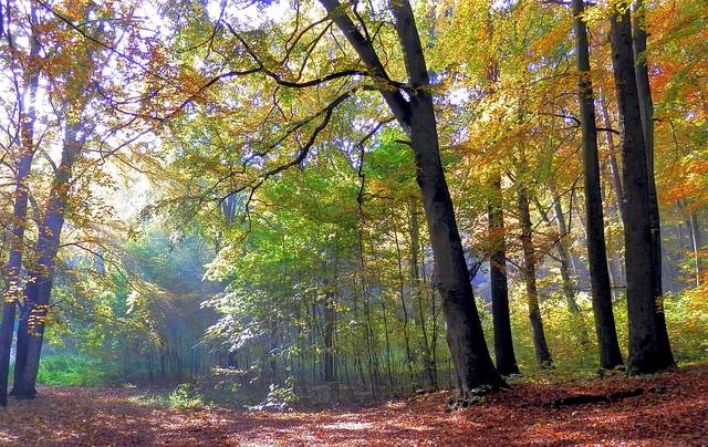 iść, ciągle iść... - jeszczemogacy