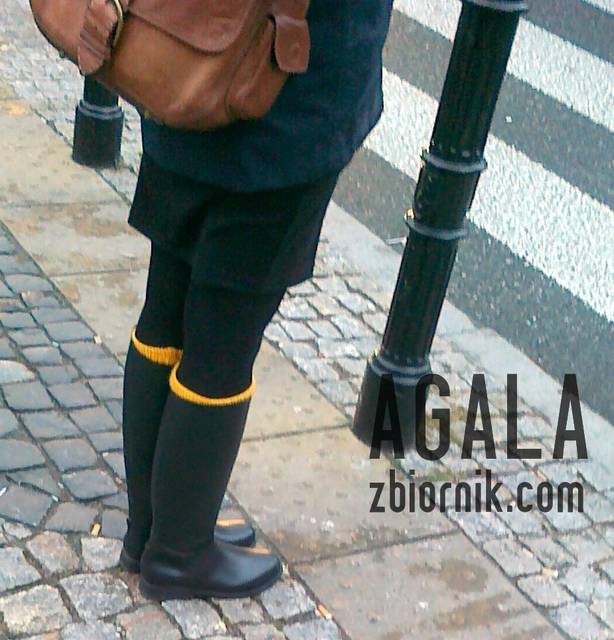 301120122189cz.jpg - AGALA