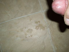 IMG_0822.JPG
