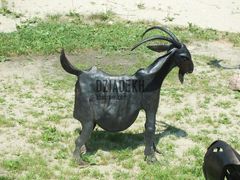 Koza jako dzieło sztuki