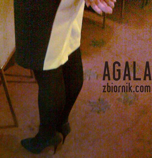 131220122404cz.jpg - AGALA
