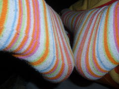 P1000236.JPG