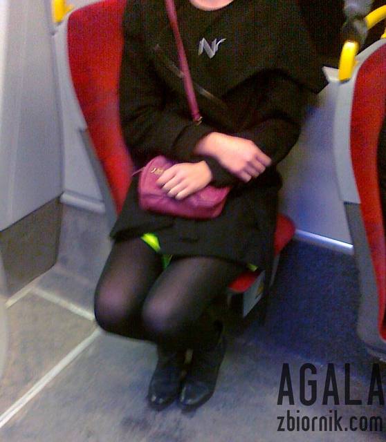 271220122537cz.jpg - AGALA