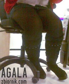 301220122569cz.jpg