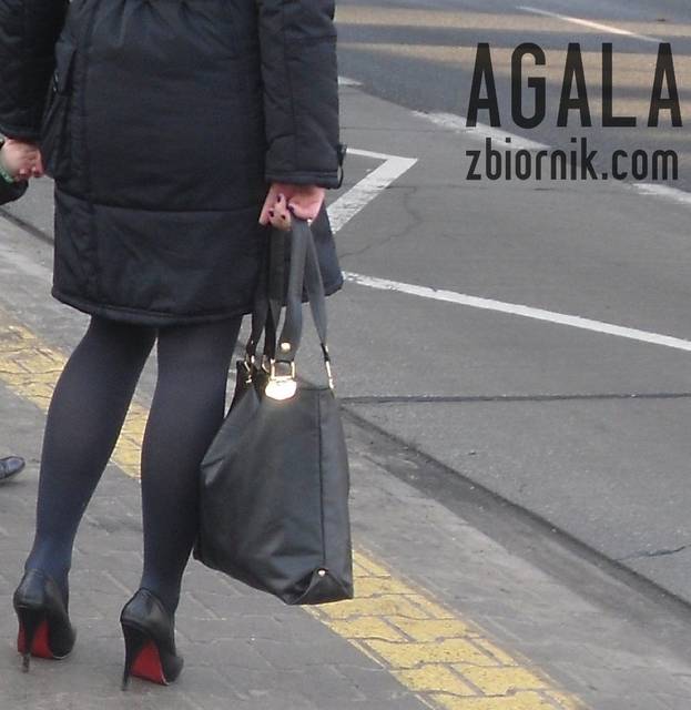 S0381v.jpg - AGALA