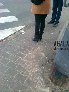 020120132620L.jpg