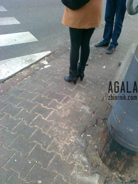 020120132620L.jpg - AGALA