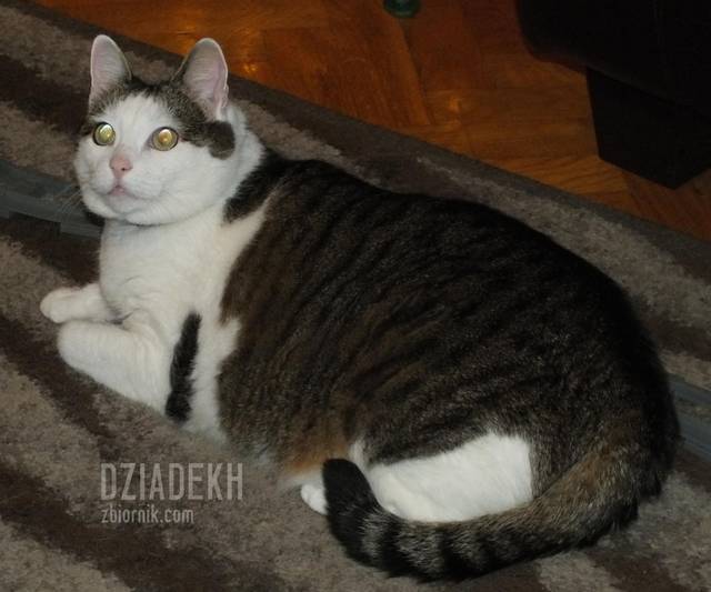 No! Chyba wreszcie zaczyna się coś dziać. - dziadekh