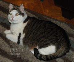 No! Chyba wreszcie zaczyna się coś dziać.