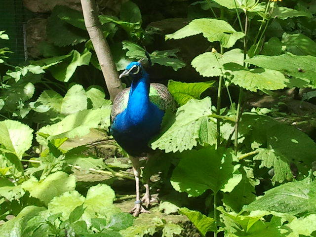 :))) - milutki_kochanek