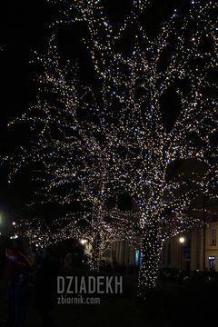 Jeszcze jedno ciekawe drzewo.