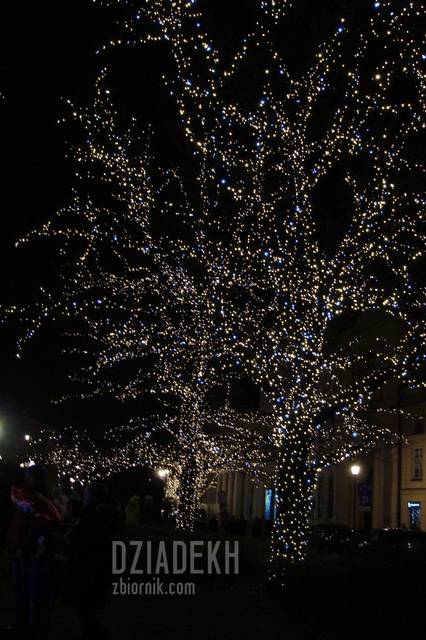 Jeszcze jedno ciekawe drzewo. - dziadekh