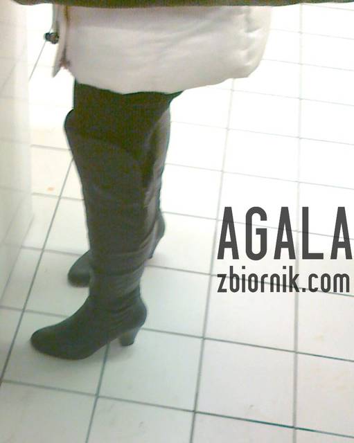 080120132785cz.jpg - AGALA