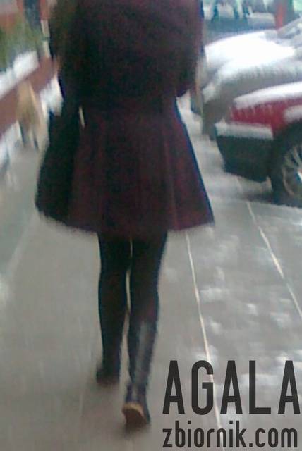 090120132788cz.jpg - AGALA