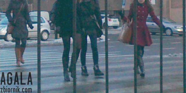 110120132841cz.jpg - AGALA