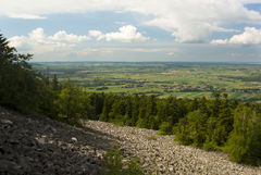 DSC_1151.JPG